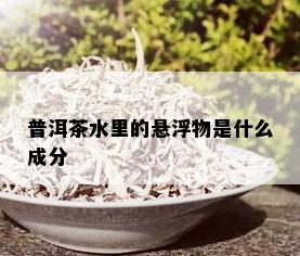 普洱茶水里的悬浮物是什么成分