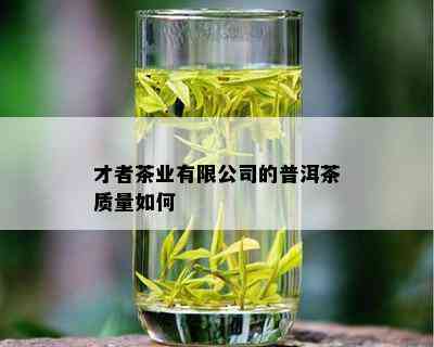 才者茶业有限公司的普洱茶质量如何