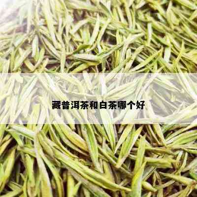 藏普洱茶和白茶哪个好