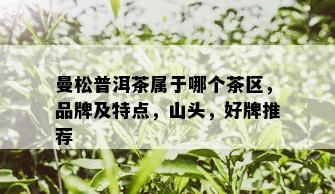 曼松普洱茶属于哪个茶区，品牌及特点，山头，好牌推荐