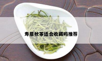 寿眉秋茶适合收藏吗推荐