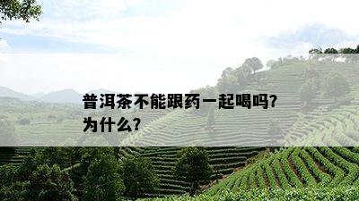 普洱茶不能跟药一起喝吗？为什么？