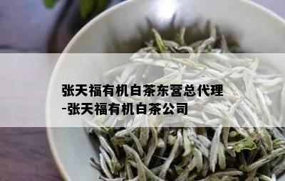 张天福有机白茶东营总代理-张天福有机白茶公司