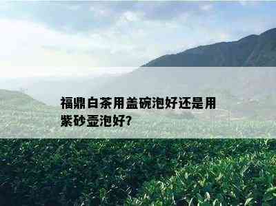 福鼎白茶用盖碗泡好还是用紫砂壶泡好？