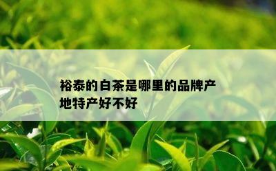 裕泰的白茶是哪里的品牌产地特产好不好