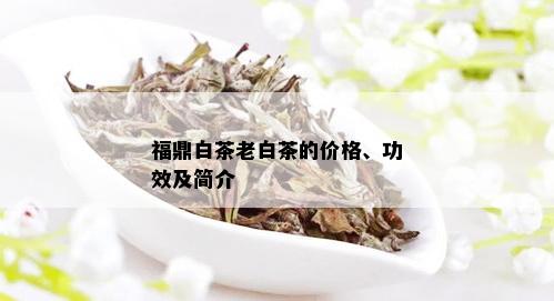 福鼎白茶老白茶的价格、功效及简介