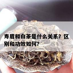 寿眉和白茶是什么关系？区别和功效如何？