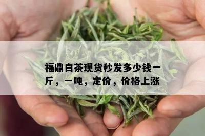 福鼎白茶现货秒发多少钱一斤，一吨，定价，价格上涨