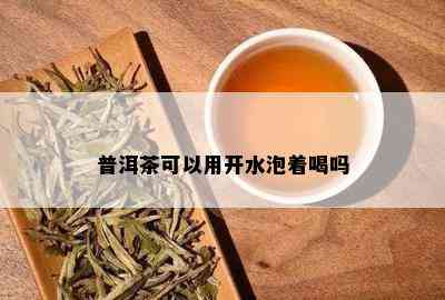 普洱茶可以用开水泡着喝吗