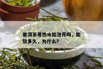 普洱茶用热水能泡开吗，能放多久，为什么？