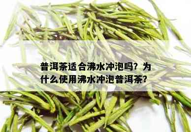 普洱茶适合沸水冲泡吗？为什么使用沸水冲泡普洱茶？