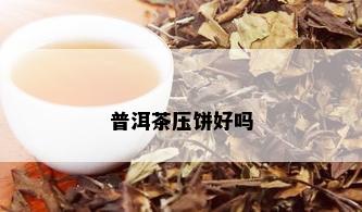 普洱茶压饼好吗