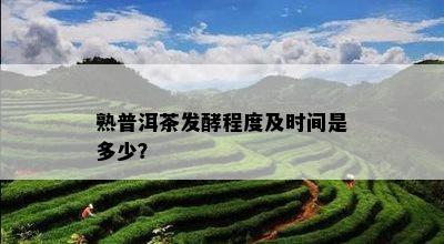 熟普洱茶发酵程度及时间是多少？