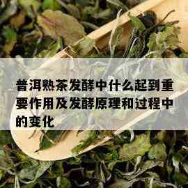 普洱熟茶发酵中什么起到重要作用及发酵原理和过程中的变化