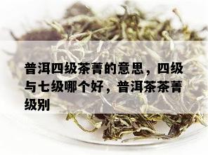 普洱四级茶菁的意思，四级与七级哪个好，普洱茶茶菁级别