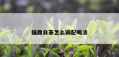 福鼎白茶怎么调配喝法