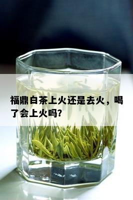 福鼎白茶上火还是去火，喝了会上火吗？