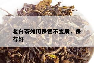 老白茶如何保管不变质，保存好