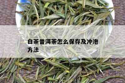 白茶普洱茶怎么保存及冲泡方法