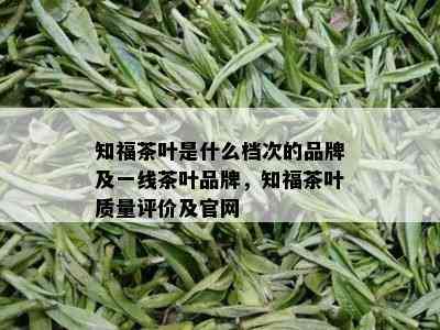 知福茶叶是什么档次的品牌及一线茶叶品牌，知福茶叶质量评价及官网