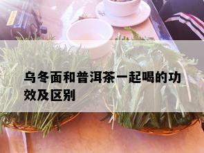 乌冬面和普洱茶一起喝的功效及区别