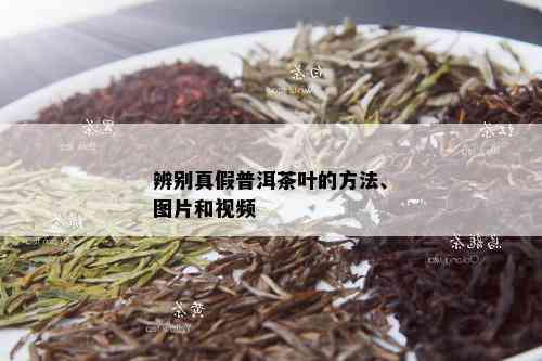 辨别真假普洱茶叶的方法、图片和视频