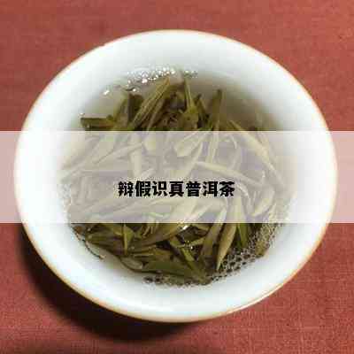 辩假识真普洱茶