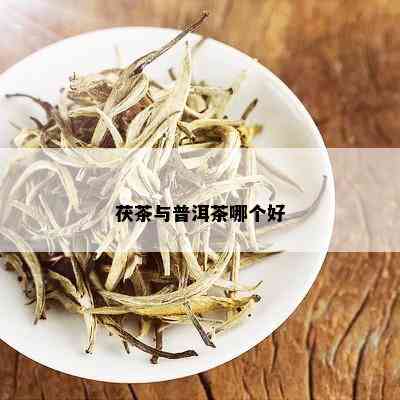 茯茶与普洱茶哪个好