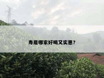 寿眉哪家好喝又实惠?