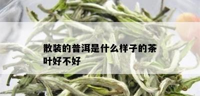 散装的普洱是什么样子的茶叶好不好