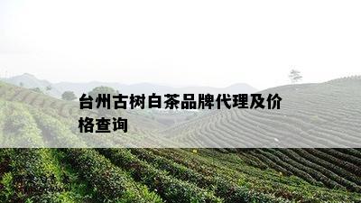 台州古树白茶品牌代理及价格查询