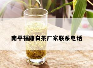 南平福鼎白茶厂家联系电话