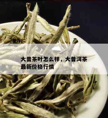 大普茶叶怎么样，大普洱茶最新价格行情