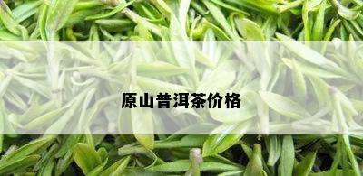 原山普洱茶价格