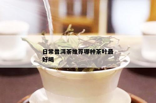 日常普洱茶推荐哪种茶叶更好喝