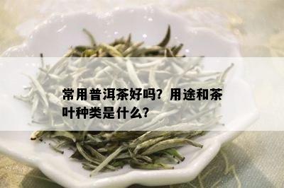 常用普洱茶好吗？用途和茶叶种类是什么？