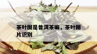 茶叶图是普洱茶嘛，茶叶图片识别