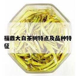 福鼎大白茶树特点及品种特征