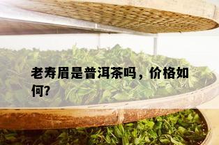 老寿眉是普洱茶吗，价格如何？