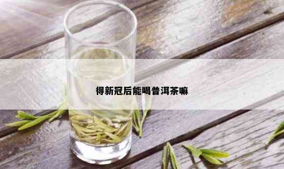 得新冠后能喝普洱茶嘛