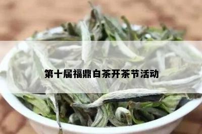 第十届福鼎白茶开茶节活动