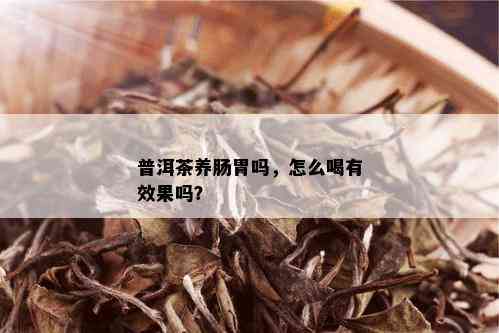 普洱茶养肠胃吗，怎么喝有效果吗？