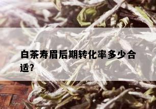 白茶寿眉后期转化率多少合适？