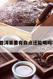 普洱茶里有白点还能喝吗？