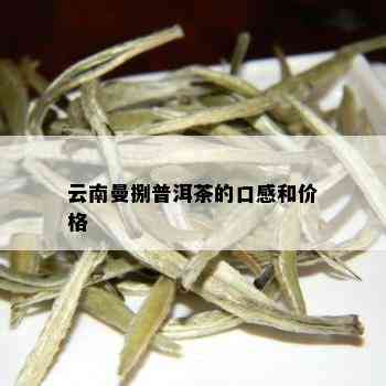 云南曼捌普洱茶的口感和价格