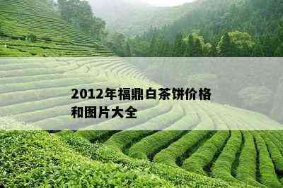 2012年福鼎白茶饼价格和图片大全