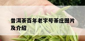 普洱茶百年老字号茶庄图片及介绍