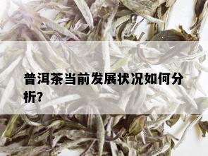 普洱茶当前发展状况如何分析？