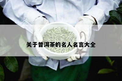 关于普洱茶的名人名言大全