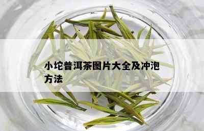 小坨普洱茶图片大全及冲泡方法